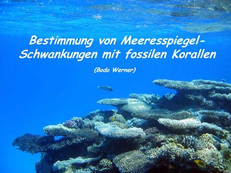Bestimmung von Meeresspiegel- Schwankungen mit fossilen Korallen