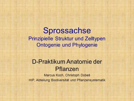 D-Praktikum Anatomie der Pflanzen Marcus Koch, Christoph Dobeš