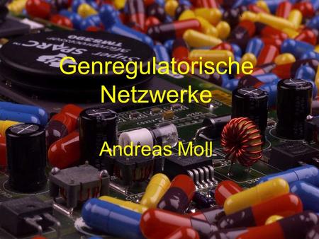 Genregulatorische Netzwerke Andreas Moll.