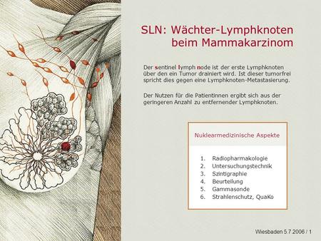 SLN: Wächter-Lymphknoten beim Mammakarzinom