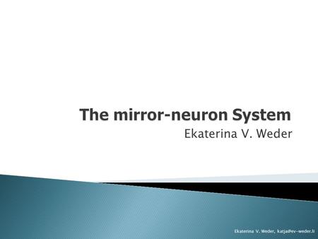 The mirror-neuron System