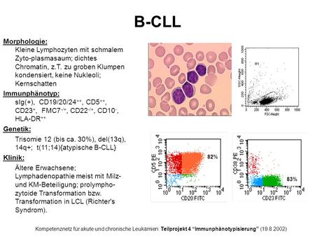 B-CLL Morphologie: Kleine Lymphozyten mit schmalem Zyto-plasmasaum; dichtes Chromatin, z.T. zu groben Klumpen kondensiert, keine Nukleoli; Kernschatten.