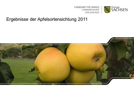 Ergebnisse der Apfelsortensichtung 2011