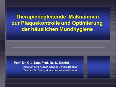 Prof. Dr. C.J. Lux, Prof. Dr. S. Kneist