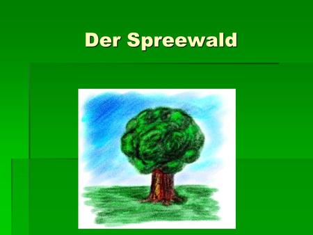 Der Spreewald.