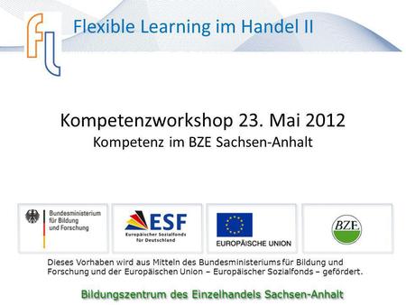 Kompetenzworkshop 23. Mai 2012 Kompetenz im BZE Sachsen-Anhalt