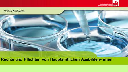 Rechte und Pflichten von Hauptamtlichen Ausbilder/-innen