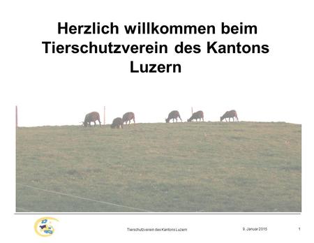 9. Januar 2015 Tierschutzverein des Kantons Luzern 1 Herzlich willkommen beim Tierschutzverein des Kantons Luzern.