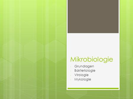 Grundlagen Bakteriologie Virologie Mykologie