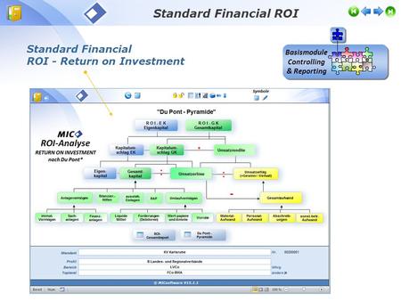 Standard Financial ROI Basismodule Controlling