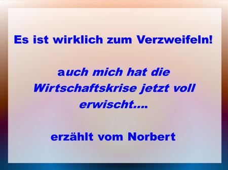 Es ist wirklich zum Verzweifeln! auch mich hat die Wirtschaftskrise jetzt voll erwischt.... erzählt vom Norbert.