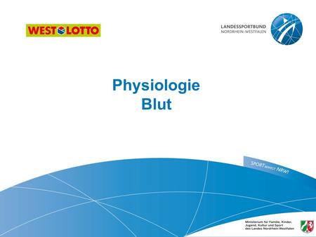 Physiologie Blut  ​.