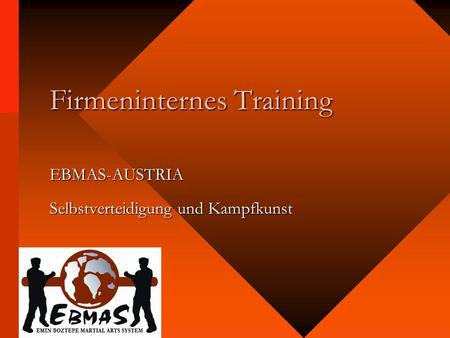 Firmeninternes Training EBMAS-AUSTRIA Selbstverteidigung und Kampfkunst.