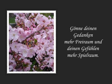 Gönne deinen Gedanken mehr Freiraum und deinen Gefühlen mehr Spielraum.