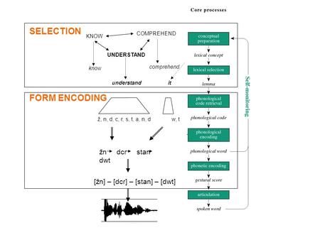 Tasks UNDERSTAND KNOW COMPREHEND know comprehend understandit ž, n, d, c, r, s, t, a, n, d w, t žn dcr stan dwt [žn] – [dcr] – [stan] – [dwt] SELECTION.