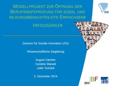 M ODELLPROJEKT ZUR Ö FFNUNG DER B ERUFSREIFEPRÜFUNG FÜR SOZIAL UND BILDUNGSBENACHTEILIGTE E RWACHSENE ERFOLGSZAHLEN Zentrum für Soziale Innovation (ZSI)