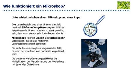 Lupe, astronomisches Fernrohr, Mikroskop - ppt video online herunterladen