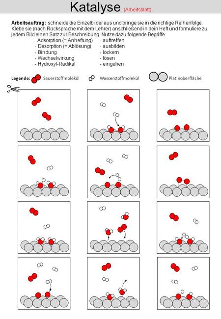 Katalyse (Arbeitsblatt)
