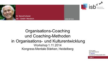 CC-by-Lizenz, Autor: Bernd Schmid für isb-w.euisb-w.eu Systemische Professionalität 2014 www.isb-w.eu Organisations-Coaching und Coaching-Methoden in Organisations-