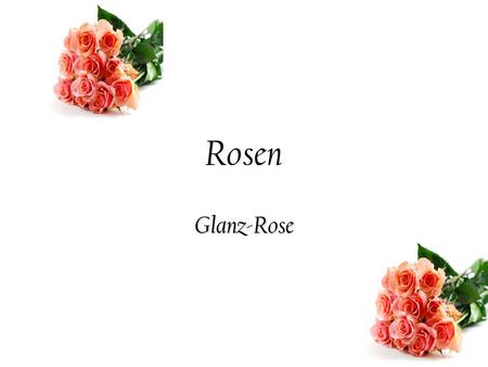 Rosen Glanz-Rose. Glanz-Rose Man nennt die Glanz- Rose auch Glanzblättrige Rose. Sie ist eine Wildrose, die im Osten Kanadas und in Neu-England heimisch.