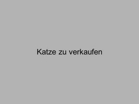 Katze zu verkaufen. Hallo Leute, einer meiner Freunde sucht für seine Katze ein neues Heim... Die Katze ist wirklich lieb und umgänglich mit Kindern und.