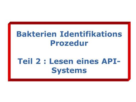 Bakterien Identifikations Prozedur Teil 2 : Lesen eines API-Systems