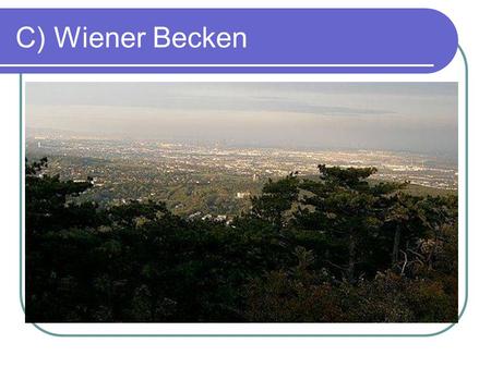 C) Wiener Becken.