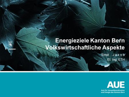 Energieziele Kanton Bern Volkswirtschaftliche Aspekte
