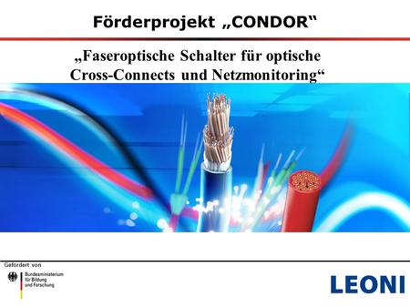 Gefördert von Förderprojekt „CONDOR“ „Faseroptische Schalter für optische Cross-Connects und Netzmonitoring“