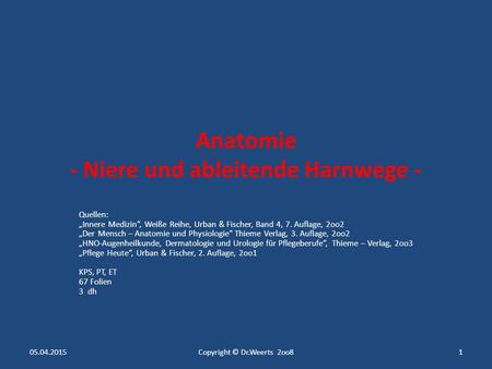 Anatomie - Niere und ableitende Harnwege -
