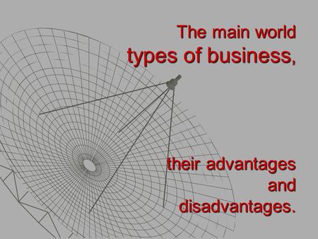 The main world types of business, their advantages and disadvantages.