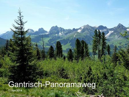 Gantrisch-Panoramaweg 7. Juni 2014. Nach der Kaffee-Stärkung im Berghaus Gurnigel gehts Richtung «Ochsen» (spitzer Berg) auf den Panoramaweg.