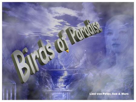 Birds of Paradise Lied von Peter, Sue & Marc.