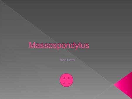 Massospondylus Von Lara.