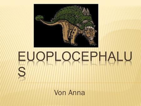 Euoplocephalus Von Anna.