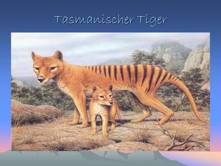 Tasmanischer Tiger.