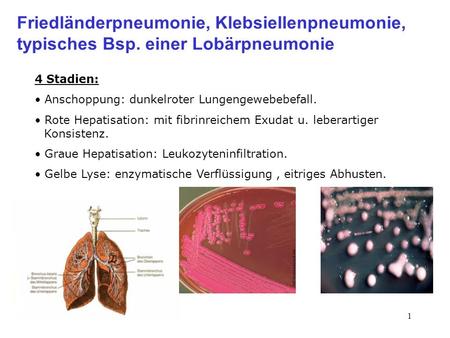 Klebsiellenpneumonie