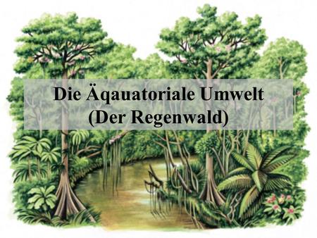 Die Äqauatoriale Umwelt (Der Regenwald)