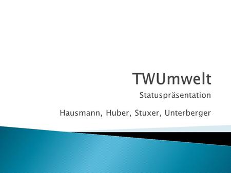Statuspräsentation Hausmann, Huber, Stuxer, Unterberger
