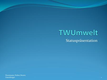 TWUmwelt Statuspräsentation Hausmann, Huber, Stuxer, Unterberger.