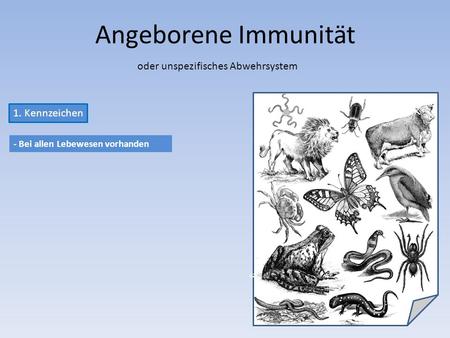 Angeborene Immunität oder unspezifisches Abwehrsystem 1. Kennzeichen