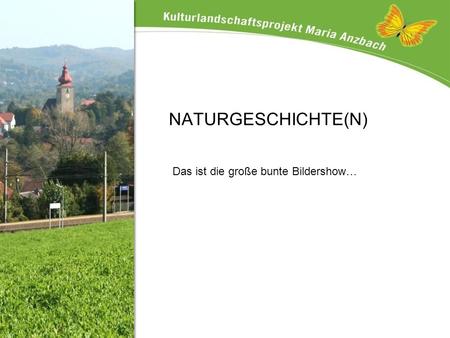 Das ist die große bunte Bildershow…  NATURGESCHICHTE(N)