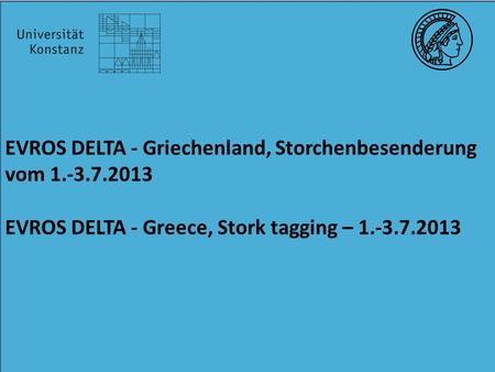 EVROS DELTA - Griechenland, Storchenbesenderung vom 1.-3.7.2013 EVROS DELTA - Greece, Stork tagging – 1.-3.7.2013.
