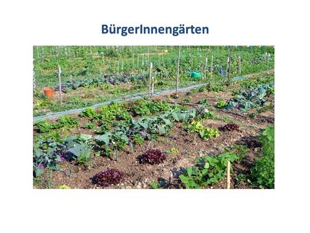 BürgerInnengärten. SonstigeInformationen Sonstige Informationen Mit Beginn der Gartensaison Anfang Mai werden die einzelnen Flächen den MieterInnen vor.