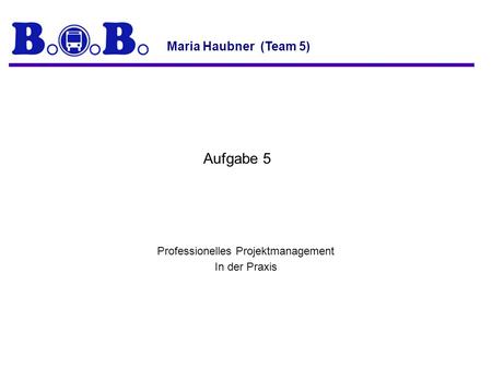 Professionelles Projektmanagement In der Praxis