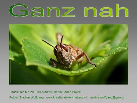 Fotos: © Nadine Wolfgang  Musik: Ich bin ich – wir sind wir, Berlin Sound Project.