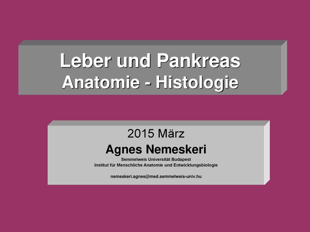 Leber Und Pankreas Anatomie Histologie Ppt Herunterladen