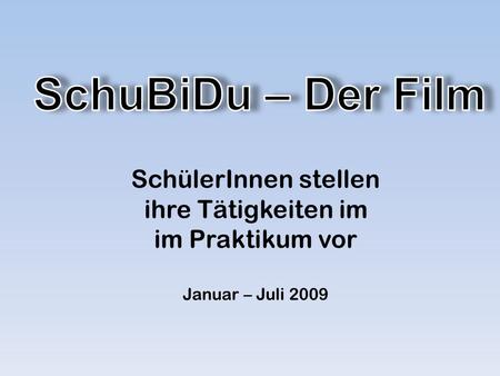 SchülerInnen stellen ihre Tätigkeiten im im Praktikum vor Januar – Juli 2009.