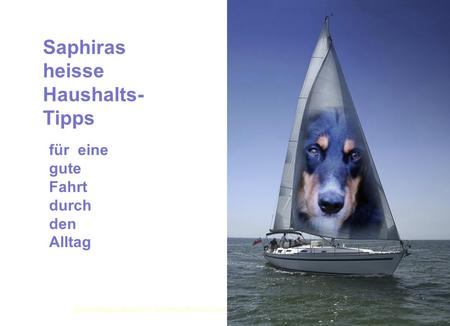 Schmutziges Geschirr schimmelt nicht, wenn man es in der Gefriertruhe aufbewahrt. Weiter mit Klick Saphiras heisse Haushalts- Tipps für eine gute Fahrt.