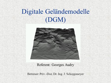 Digitale Geländemodelle (DGM) Referent: Georges Audry Betreuer: Priv.-Doz. Dr. Ing. J. Schoppmeyer.